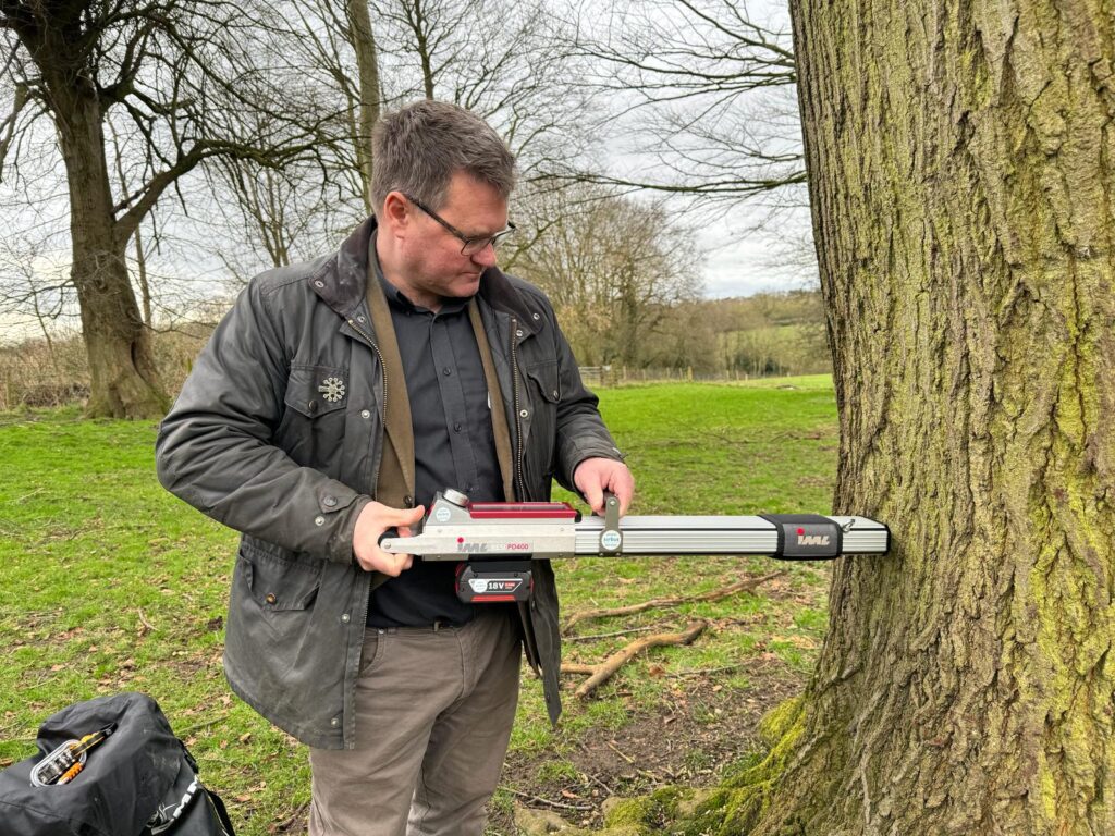 Phytophthora Testing in Manchester