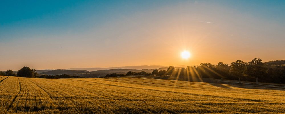 Planning Conditions that can delay your project